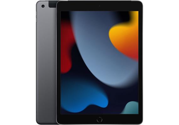 Apple iPad 10.2" (2021) WiFi + Cellular 64GB Space Grau (Gen.9)