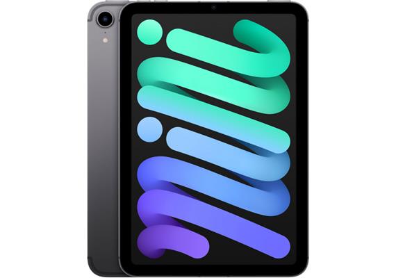 Apple iPad mini 256GB Space Grau (2024) (Gen.7) Cellular