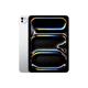 Apple iPad Pro 11" (2025) 2TB Cellular Nanotexturglas Silber (M5)